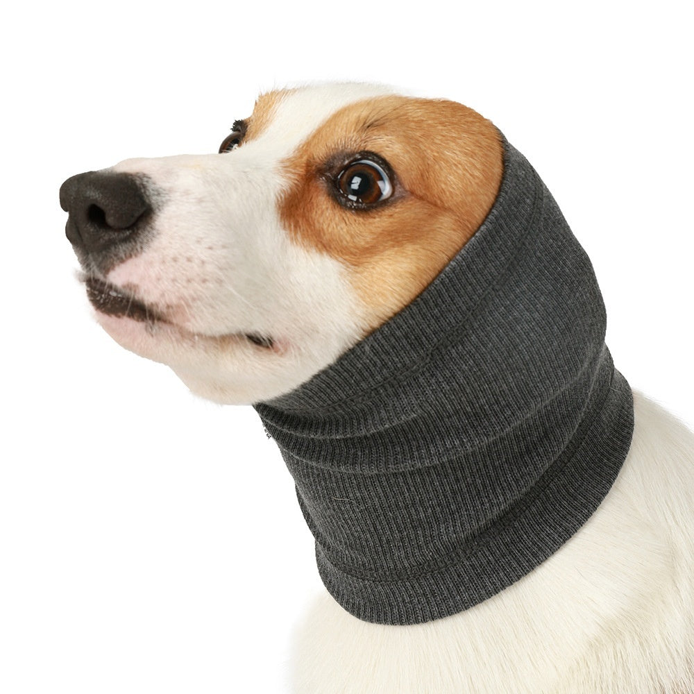 Brown-and-white dog wearing a charcoal knitted ear cover