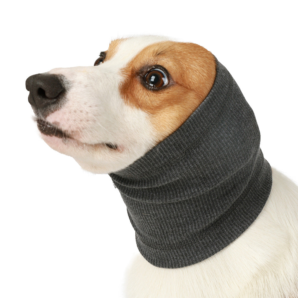 Brown-and-white dog wearing a charcoal knitted ear cover