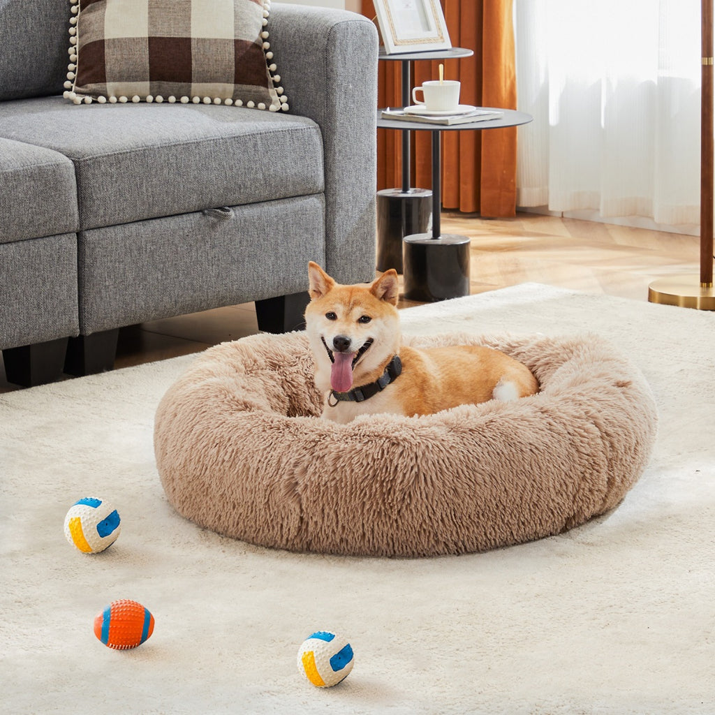 Corgi resting in a tan donut pet bed beside colorful balls