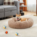 Corgi resting in a tan donut pet bed beside colorful balls