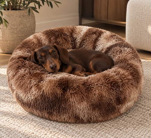 A brown dachshund rests inside a round, plush faux-fur pet bed with brown and beige mottled stripes, placed on a textured cream rug in a cozy living room setting.