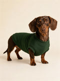 The Cozy Dackel Crewneck in Forest