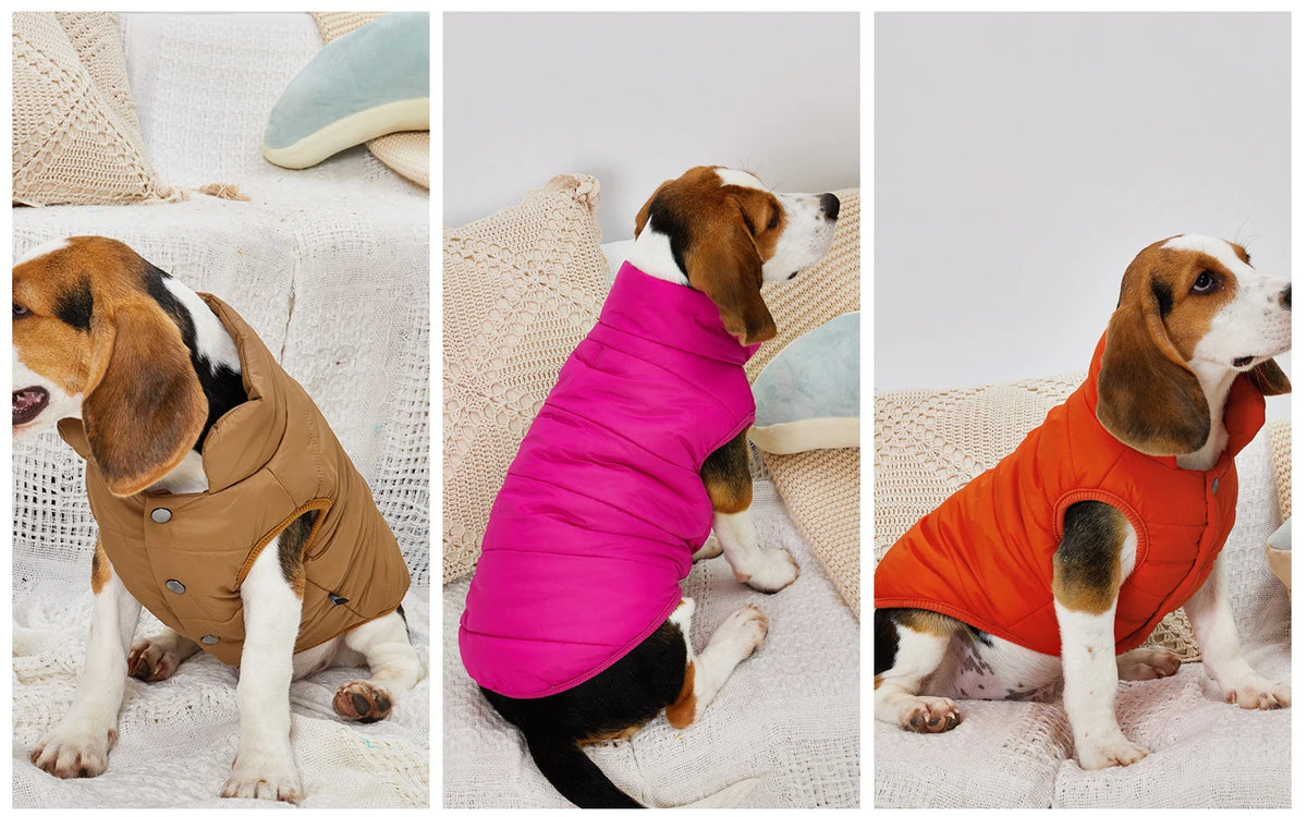 Dogs modeling tan, bright pink, and orange puffer jackets