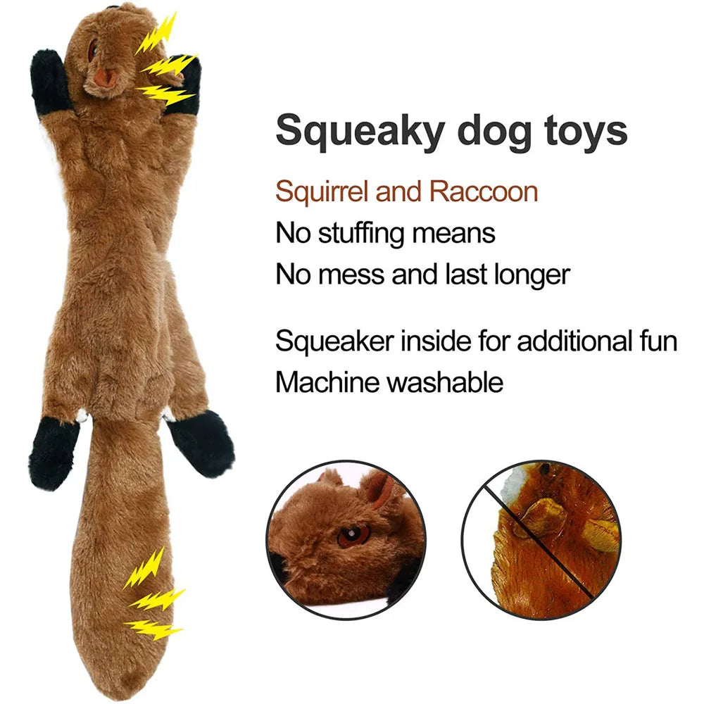 Flat squirrel plush dog toy with squeaker placement and feature callouts