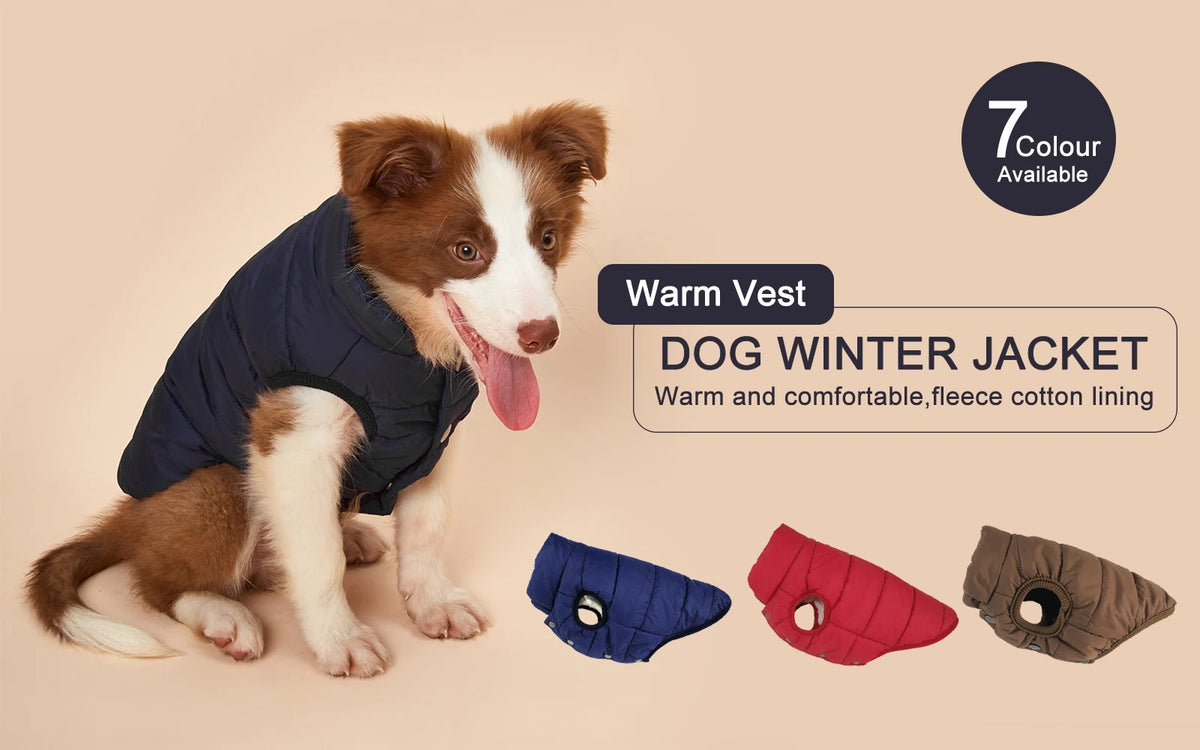 Dog wearing a navy puffer jacket beside alternate jacket colors
