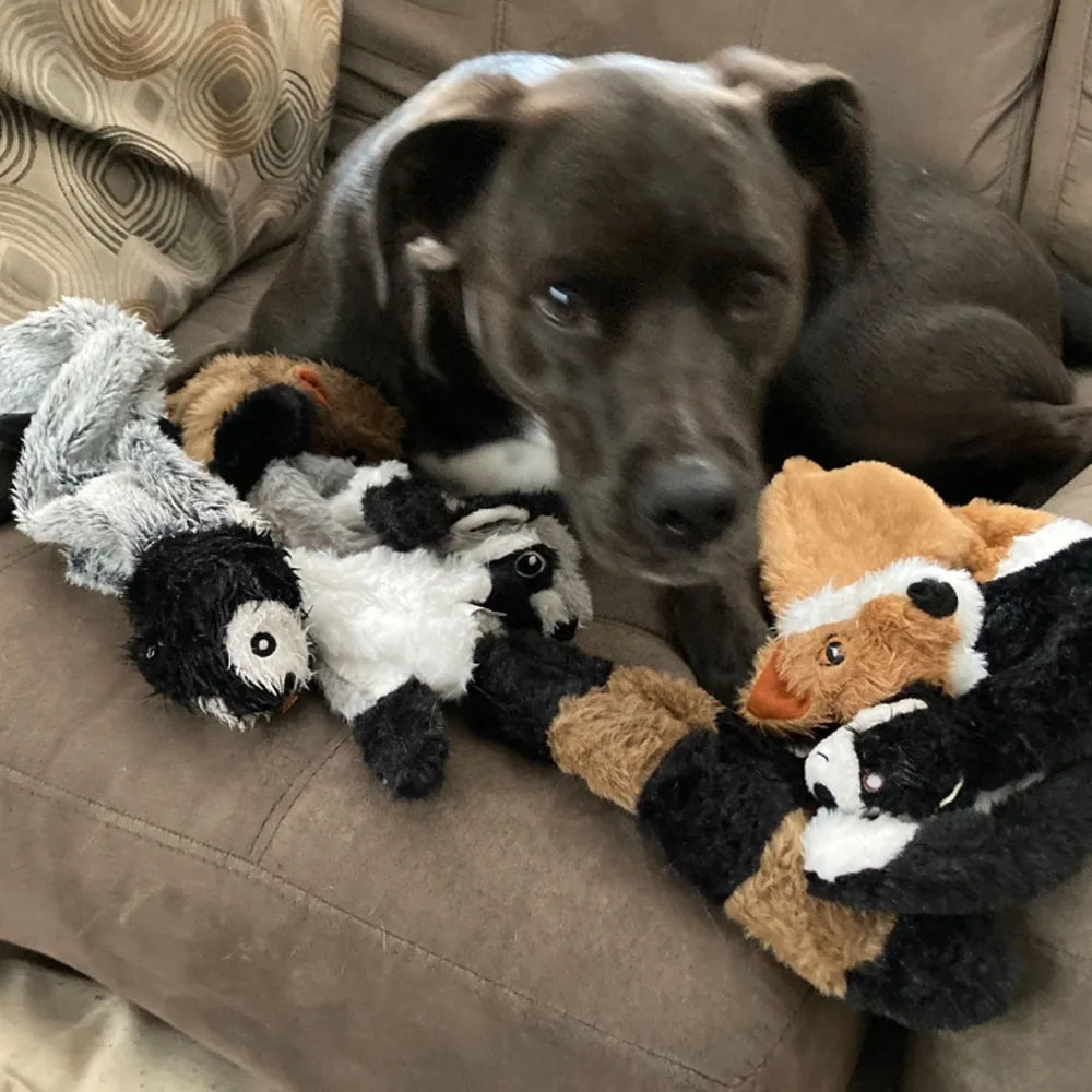 Black dog resting on a sofa with flat plush animal toys