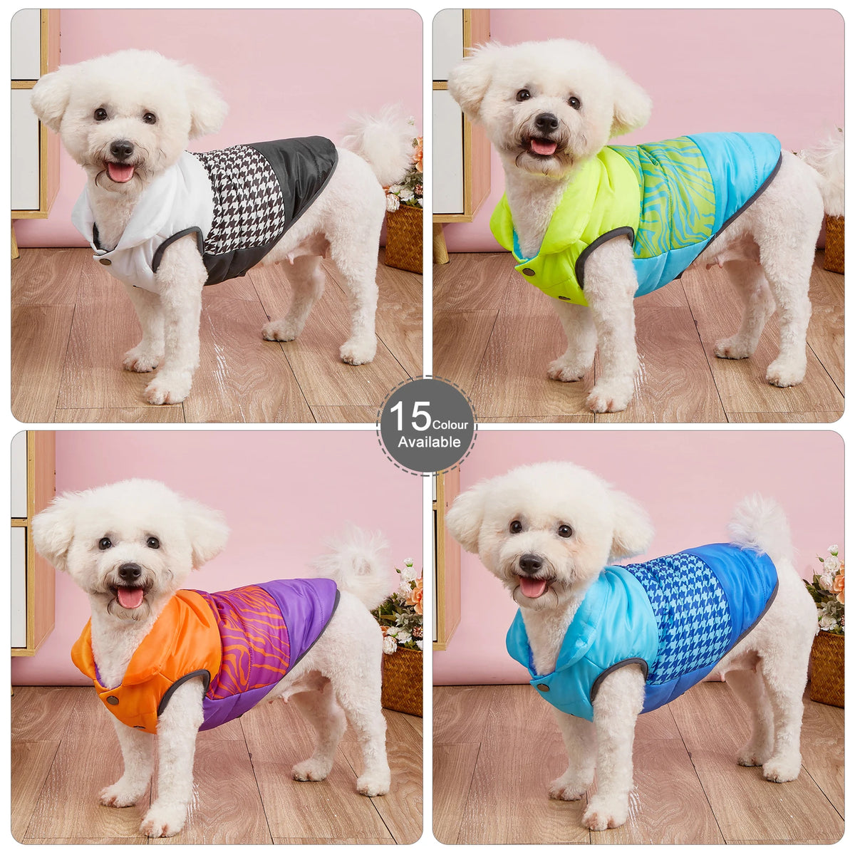 White dog modeling four patterned color-block puffer jackets